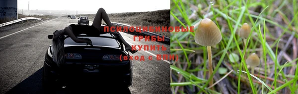 дмт Баксан