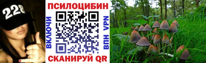 закладка  Яранск  Псилоцибиновые грибы GOLDEN TEACHER 